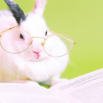 眼鏡をかけて本を読む白いうさぎ